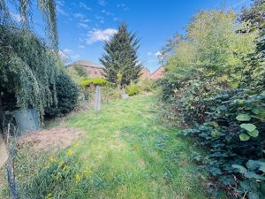 Photo 12- click for photo gallery